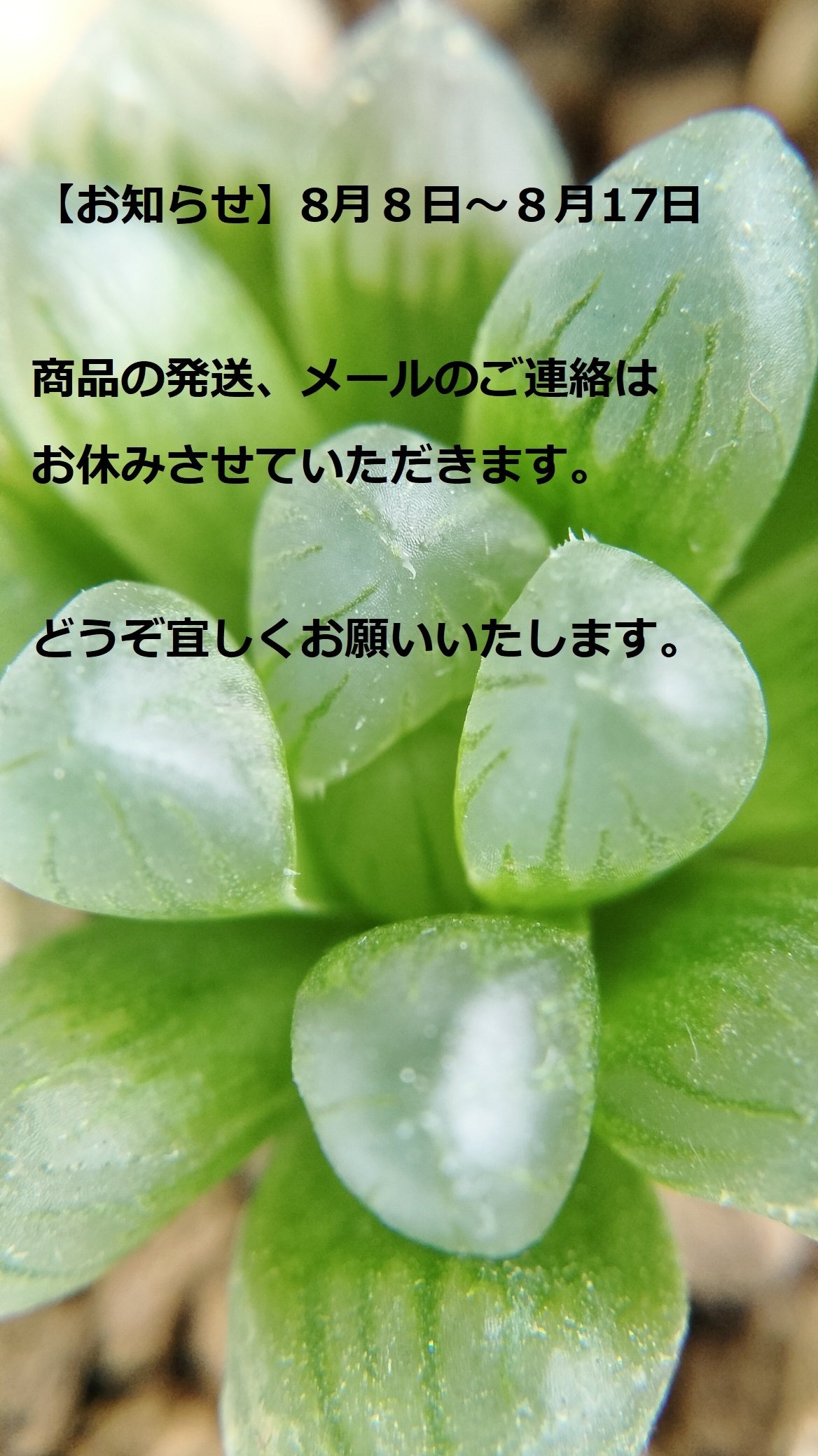 お知らせサボbykc1